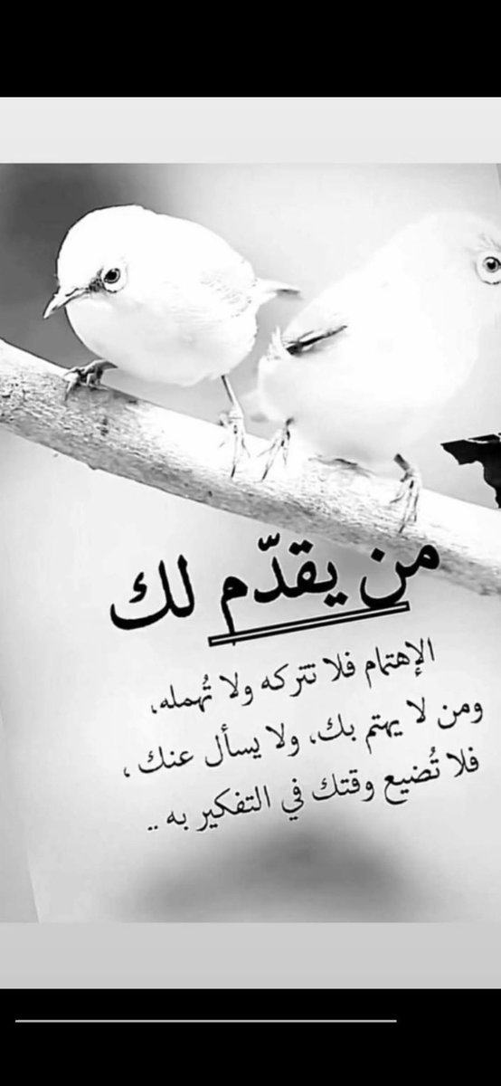 a__n__s tweet media