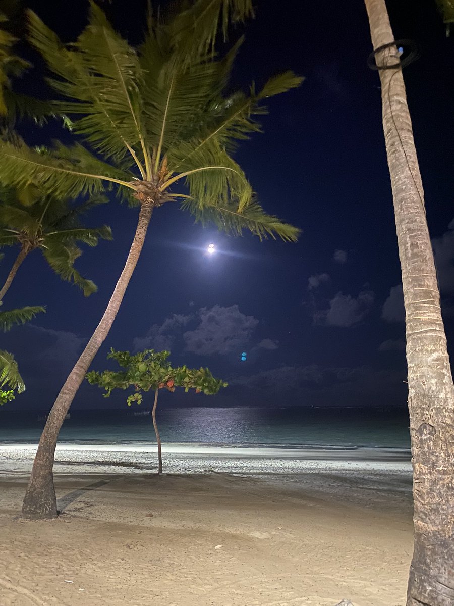 kaykyLins's tweet photo. A Lua que Maceió botou ontem, tava coisa de louco! 🥰🌕 https://t.co/m52hfaf95I