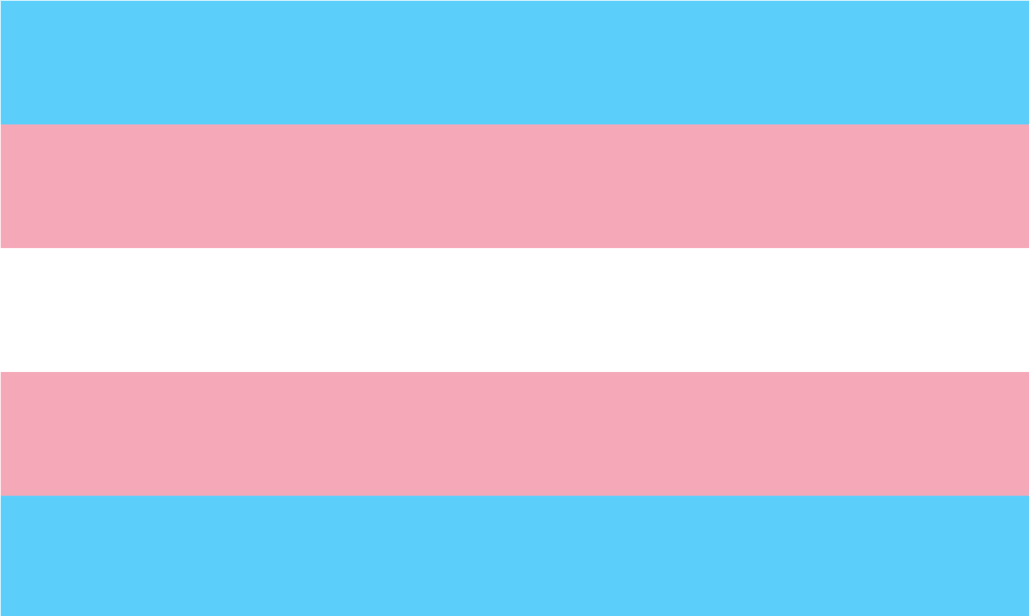This week Bailey D spotlights some excellent games that happen to be created by trans designers. Also, duh, #TransRights #TransRightsAreHumanRights. #boardgames #boardgaming #tabletopgames #tabletopgaming
bit.ly/3PHICPh