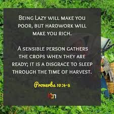 Yahs_Offering's tweet photo. Work smart and hard while you can.
#work #smart #ocah #oland https://t.co/YeZ2Ldxwkh