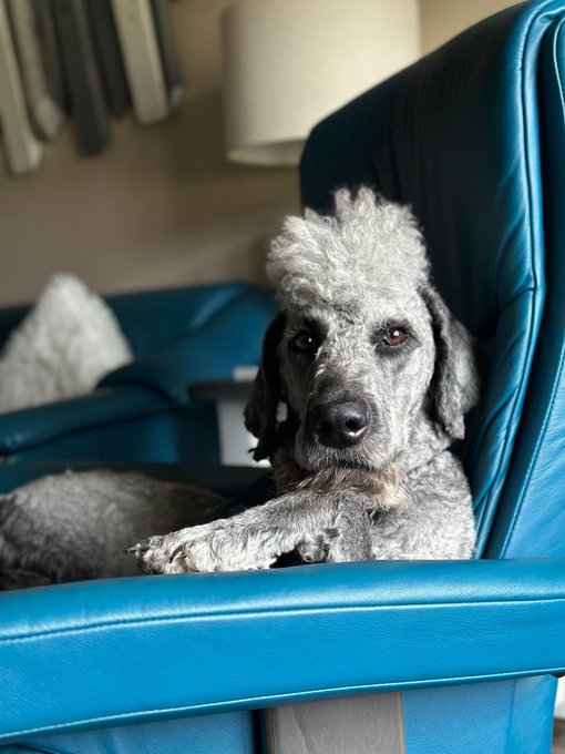 My little angel Levi is 3 years old today!!  #doodle https://t.co/obZhhwGgR1<a href="/tag/doodle"class="tags">#doodle</a>