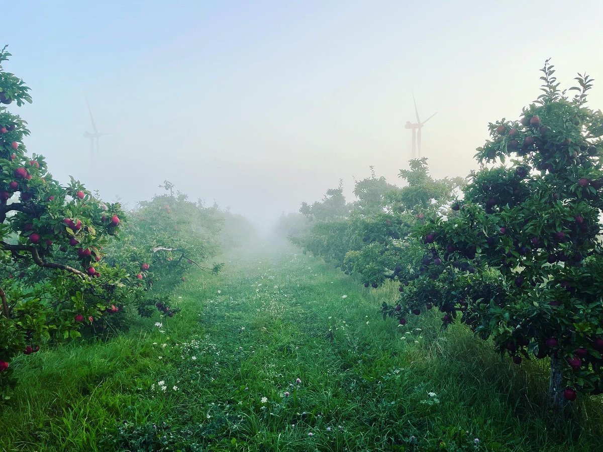 brian rideout tweet media