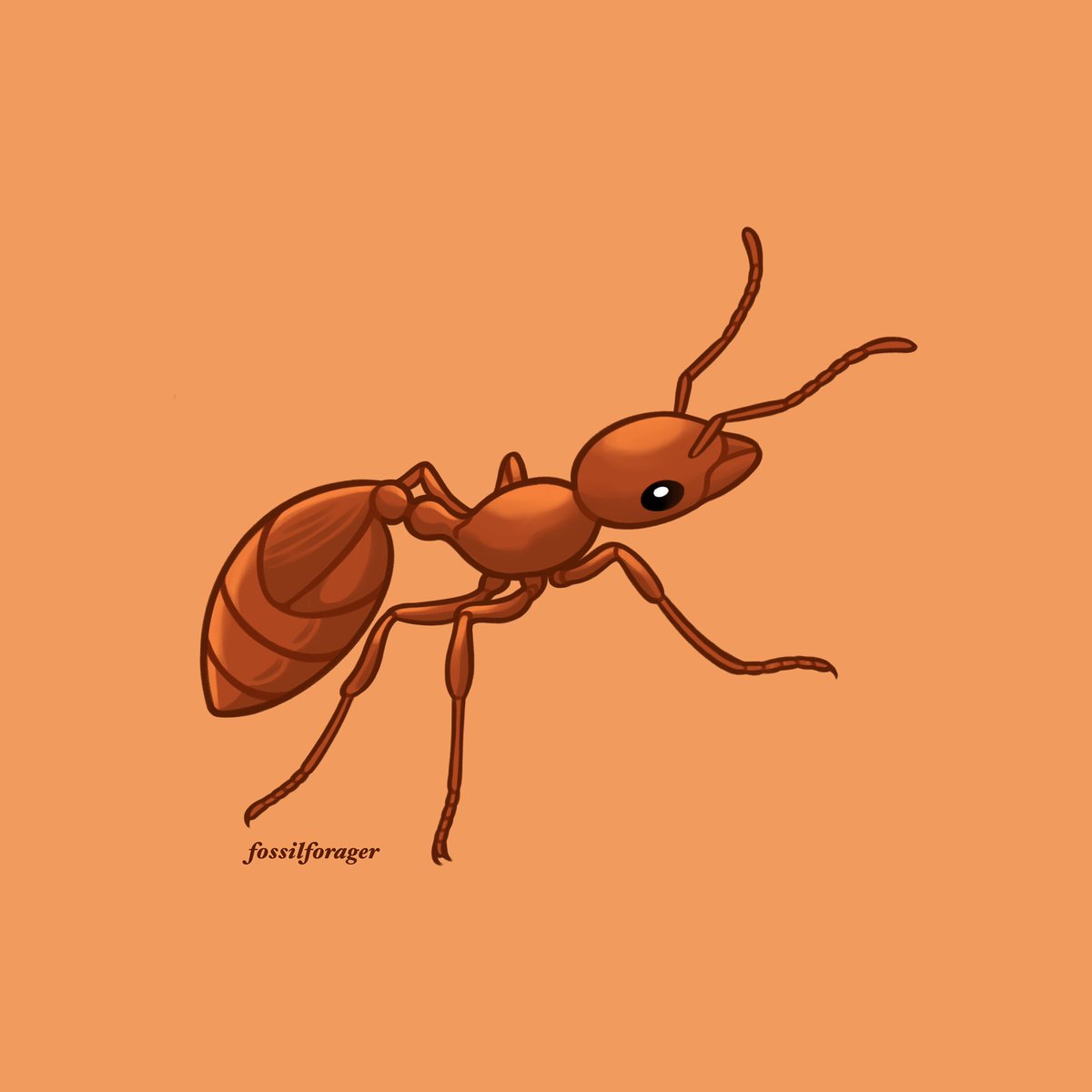 「Invertober Day 3 - Little Fire Ant #Inve」|Nicole 🌱のイラスト