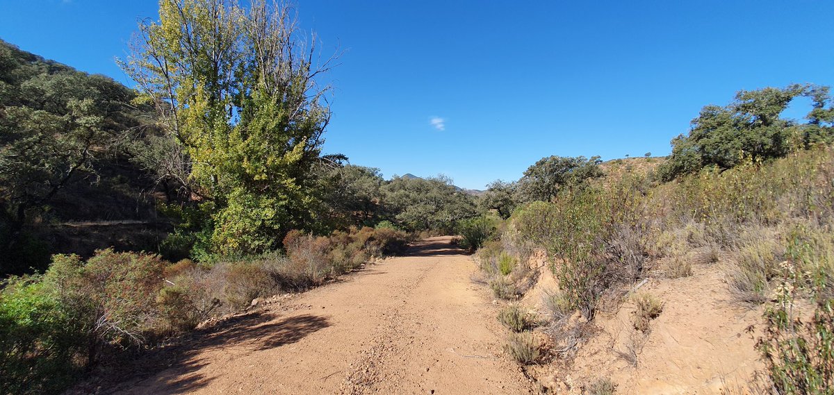 Praxis erronea del Catastro desde hace años  está causando la usurpación   de caminos de titularidad privada en caminos publicos geometra-experto.com/caminos-public…