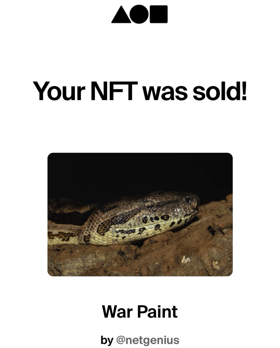 Big shouts out to the one called @EtYett for seeking out my username among a sea of many and putting the chips behind my lens to take me to the next level 🎚️ War Paint #8 has been sold 🥳 Thank you for believing in me and I promise I’ll keep going one shot at a time 📸