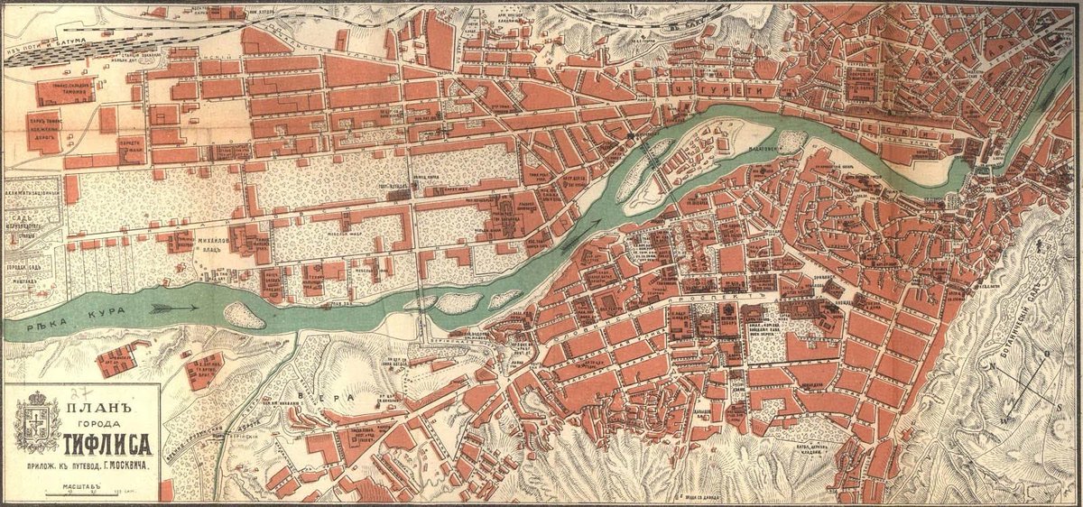 The True Caucasians tweet media