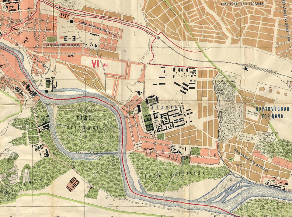 The True Caucasians tweet media