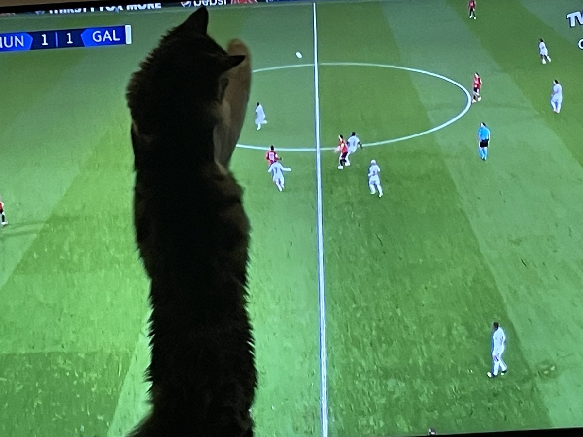 Leo bitti demeden bitmez💛❤️