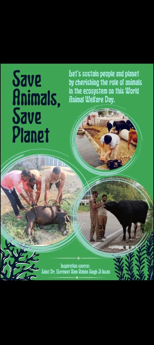 DeepakArora83's tweet photo. #AnimalWelfare
Animals can become the greatest friend to humans if loved &amp; cared. Let's pledge to fight against the cruelty towards them. Volunteer's of Dera Sacha Sauda under the teachings of Saint Gurmeet Ram Rahim Ji provide every possible help to animals.
#WednesdayMotivation https://t.co/QlryU6oeUw