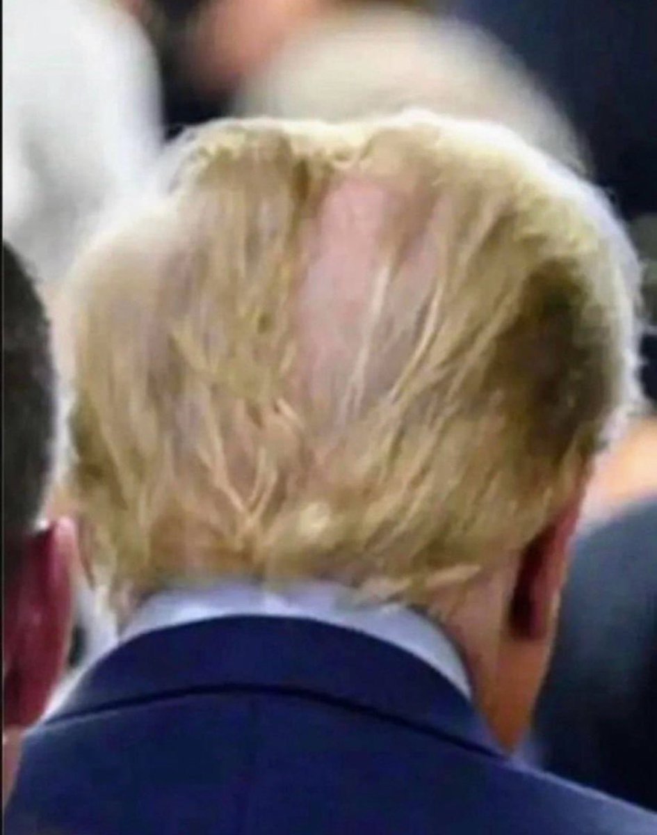 DAMN! Many people are saying that trump HATES this extremely unflattering picture of the back of his fat head in a New York courtroom. Be a real shame if everyone reposted this and spread it like wildfire all over the internet. Real shame. 😏