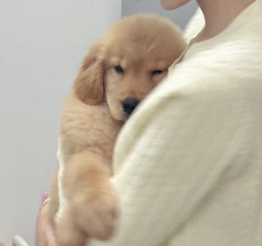 จะหอมเค้าแค่ตัวเดียวใช่มั้ย