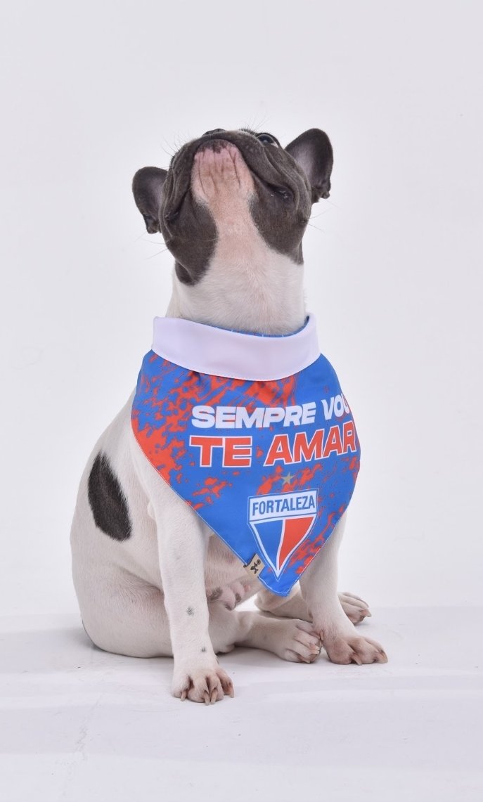 BoBe_Store's tweet photo. @FortalezaEC É o cara !!!!! 🦁🦁 https://t.co/GwbQXoOzgY