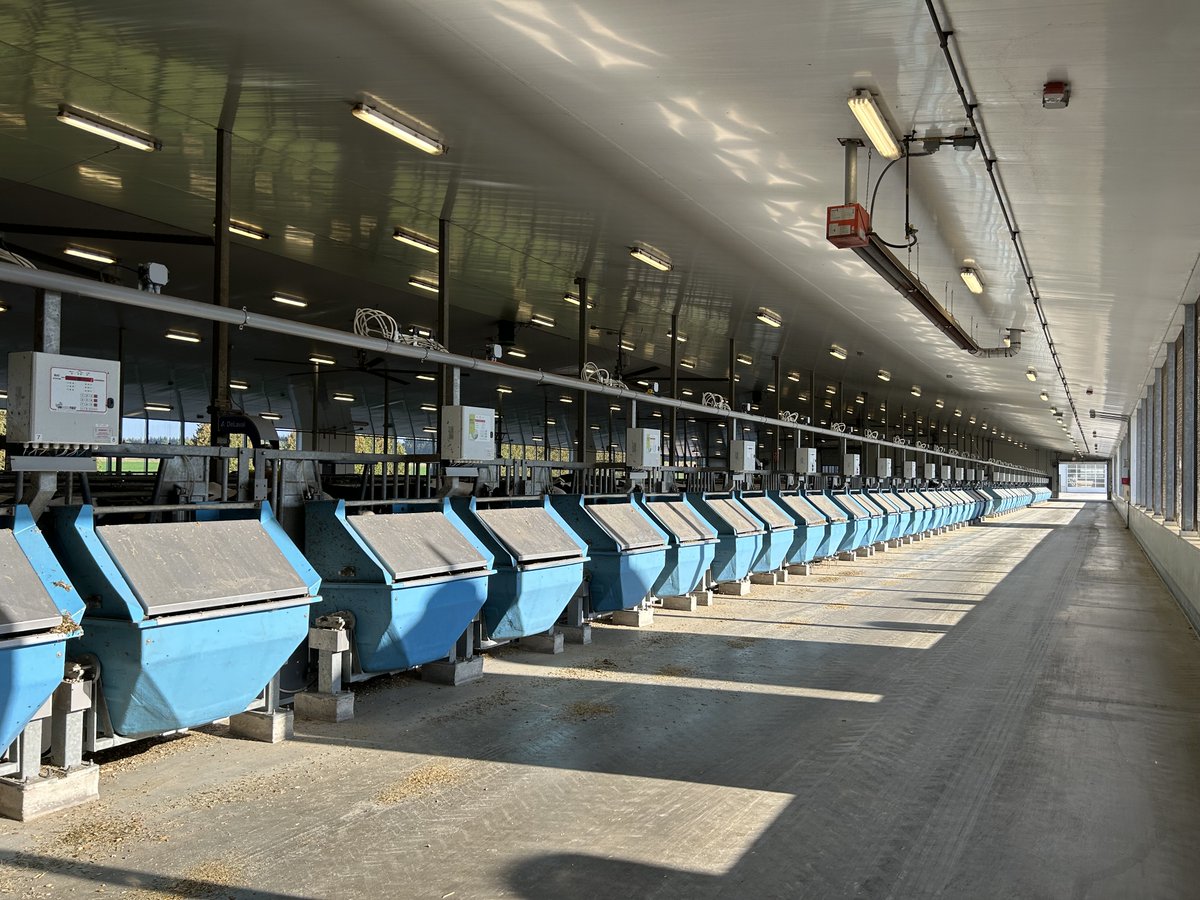 Streaming_Sci's tweet photo. We had a great visit to @DairyatGuelph to learn more about The Resilient Dairy Genome Project. We joined the @FarmingConnect group from Wales on their tour. @ABSc_UofG grad student Marjike is an awesome #SciComm #sustainability tour guide.
@BaesC1 @uofg @UofGuelphOAC @UFAEC https://t.co/PctvM4bMOe