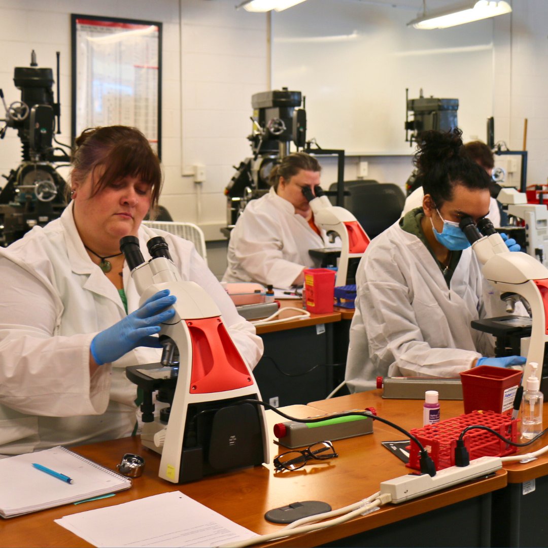 Our MLT students studying hematology gain a fascinating insight into the realm of blood cells, including their creation, functions, and transformations when diseased.