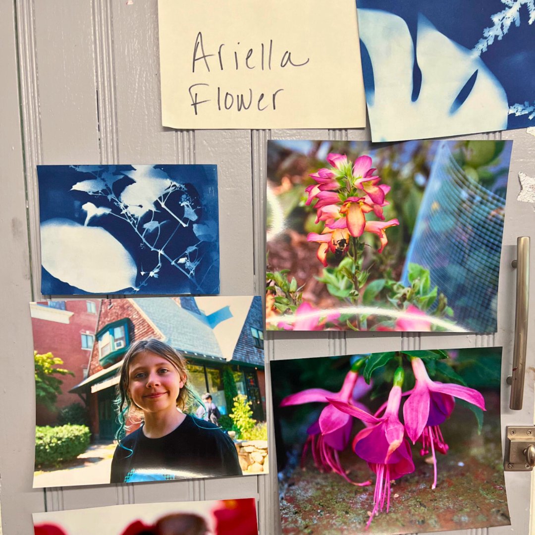 BrooklineArtsCenter tweet media