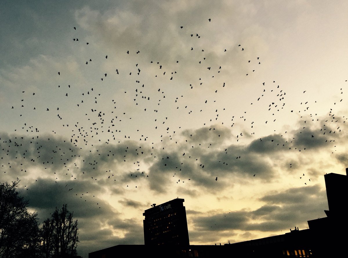 Illinois State Museum tweet media