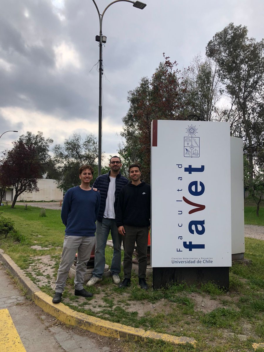 CircularPet's tweet photo. Ciencia de Chile al mundo! Junto a @FavetUchile innovando para la sustentabilidad de nuestros perritos y gatos. 💚🐶🐛
#favet #UdeChile #ciencia #innovation #dog #cat #circularpet #sustainable #insectfeed #insectprotein #bsf #economiacircular #proteinainsecto https://t.co/C3PbQGJtZE