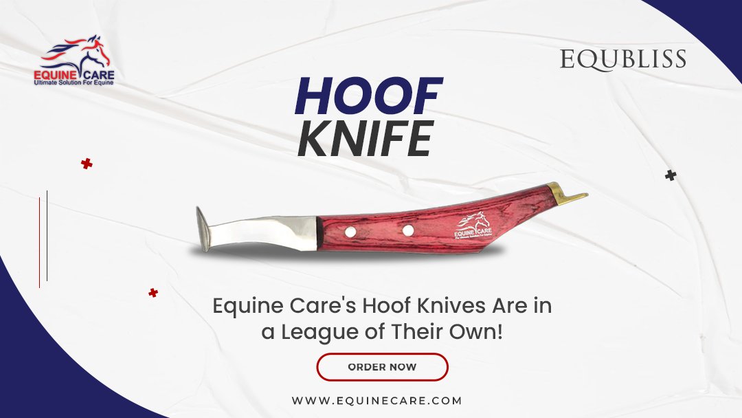 Don't settle for anything less than the best when it comes to caring for your horse's hooves. T

Shop now at our website ➡️ equinecares.com/collections/fa… 

#HoofKnives #EquineCares #HorseHoofTrimming #EquineHealth #QualityTools #EquestrianLife #HorseCare #EquineCare