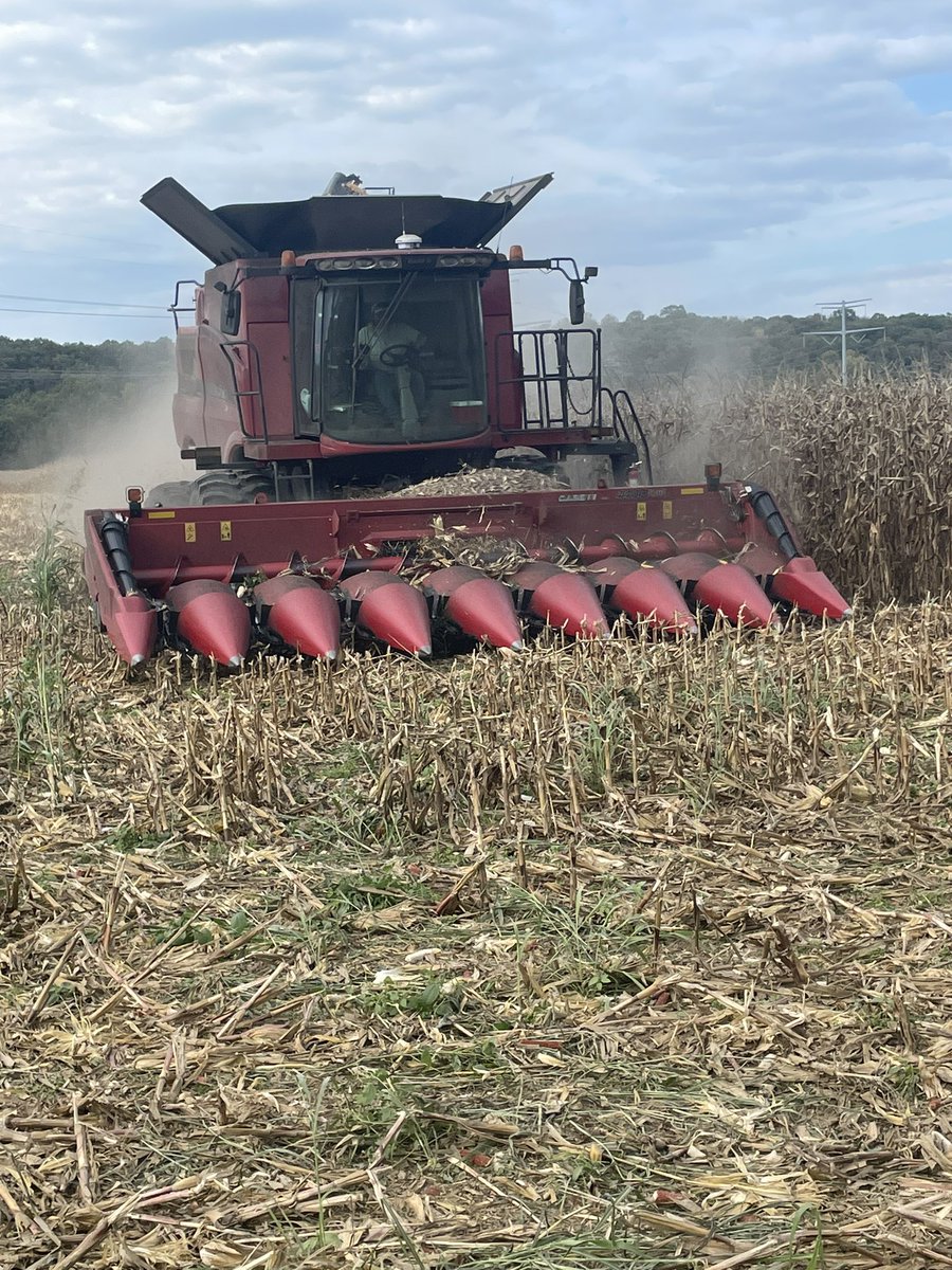 “Hoene Brothers” first Corn harvest is in full swing. 

15J91/16Q82 doing much better than expected for this dry and hot Missouri summer.