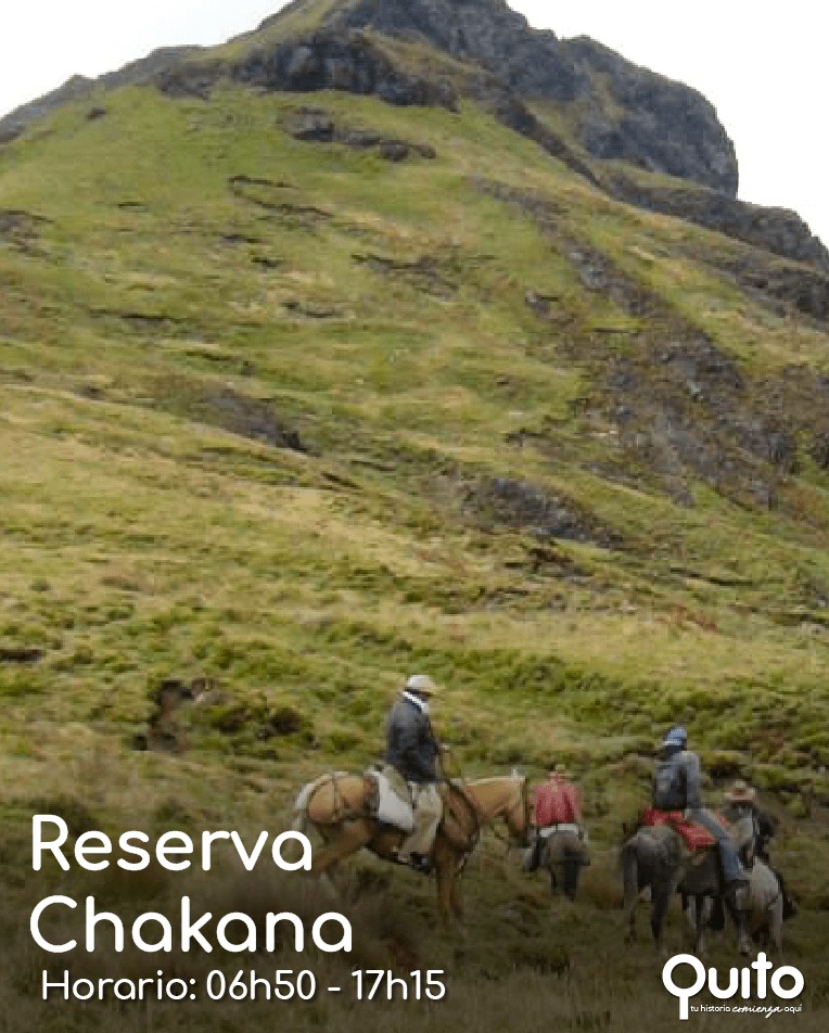 Visit Quito tweet media