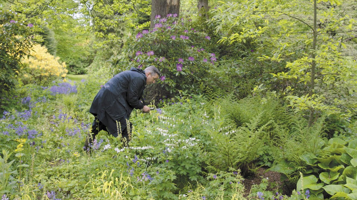 flower_journal's tweet photo. ファブリックと花に人生を捧げるドリス・ヴァン・ノッテンに迫ったドキュメンタリー
https://t.co/srmHwThVib
#ドリスヴァンノッテン #driesvannoten @DriesVanNoten 
#フラワージャーナル #flowerjournal #植物 #花 #庭 #ガーデニング https://t.co/rmqKCyRQIs