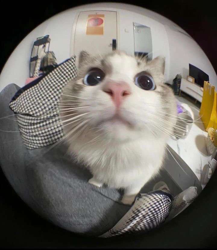 l̶i̶m̶i̶t̶ ̶d̶r̶a̶k̶ tweet media