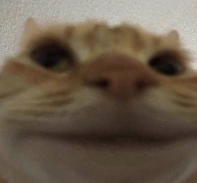 l̶i̶m̶i̶t̶ ̶d̶r̶a̶k̶ tweet media