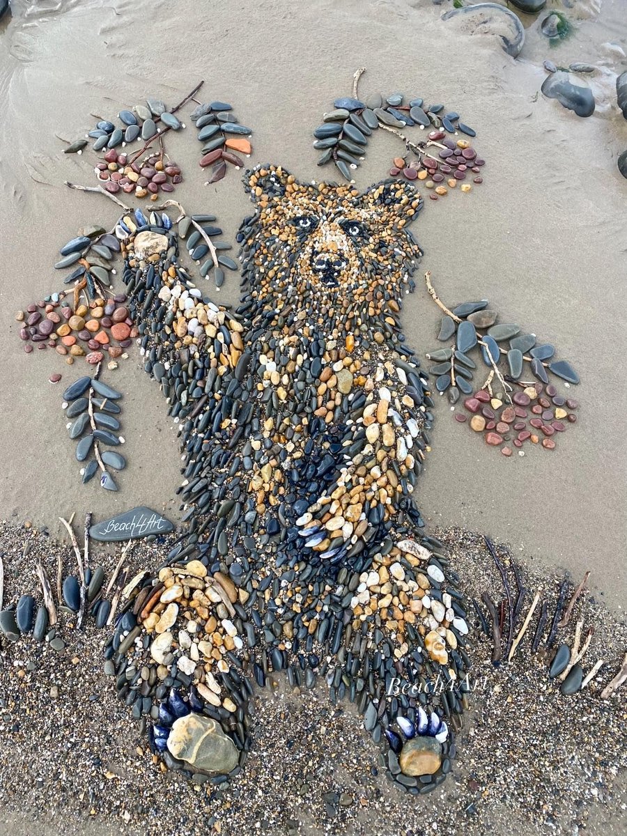 If you were at Sandymere Beach today you might have seen a Bear, this one was created by Beach4Art another fantastic piece of work.