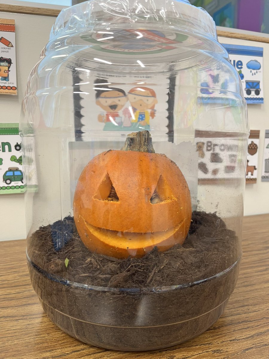 Andrea Garcia (@andreateacher) on Twitter photo Day 1 of our Pumpkin Jack Experiment. We listened to the story, explored the inside of a pumpkin and made predictions. What do you think will happen to Jack? <a href="/YorbitaCheetah/">Yorbita Principal</a> #pumpkins #science #exploration #tkteacher Day 1 of our Pumpkin Jack Experiment. We listened to the story, explored the inside of a pumpkin and made predictions. What do you think will happen to Jack? <a href="/YorbitaCheetah/">Yorbita Principal</a> #pumpkins #science #exploration #tkteacher