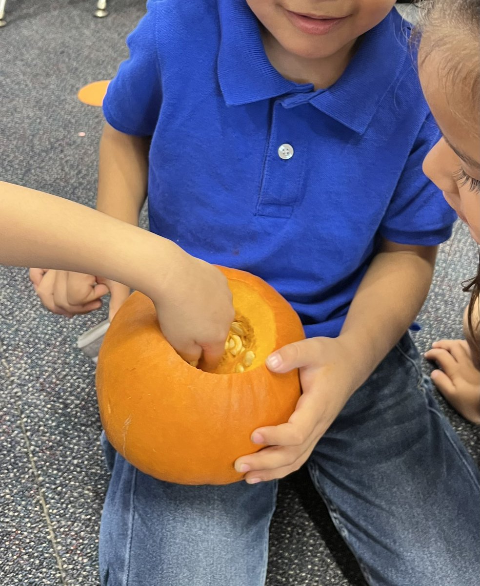 andreateacher's tweet photo. Day 1 of our Pumpkin Jack Experiment. We listened to the story, explored the inside of a pumpkin and made predictions. What do you think will happen to Jack? @YorbitaCheetah #pumpkins #science #exploration #tkteacher https://t.co/GAeS867Tfh