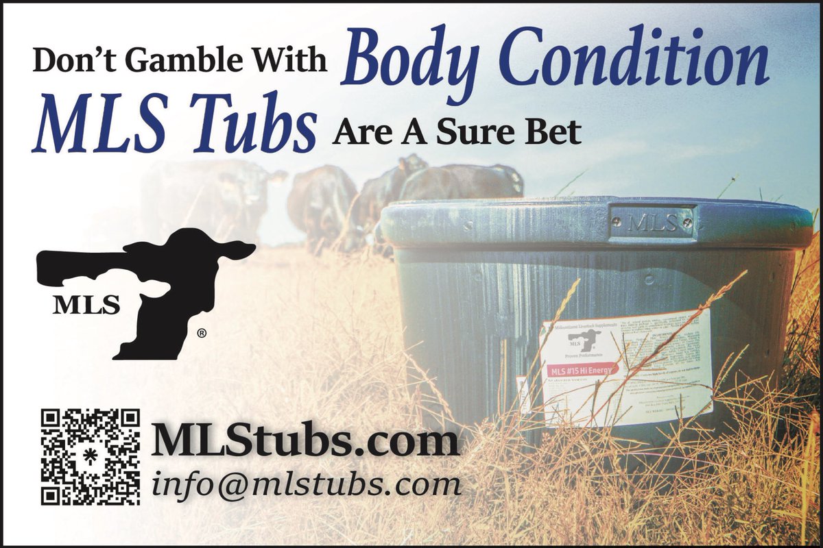 mlstubs tweet picture