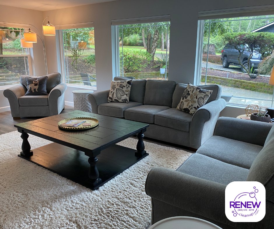 renewcleanup's tweet photo. Look at This Clean Living Room and all the Natural Light! ✨🌞

Come Visit Us 🌎 https://t.co/MIdBtgMq3g
#arlingtonwa #marysvillewa #everettwa #lakestevenswa #mukilteowa #lynnwoodwa #edmondswa https://t.co/jWAlVSlybo