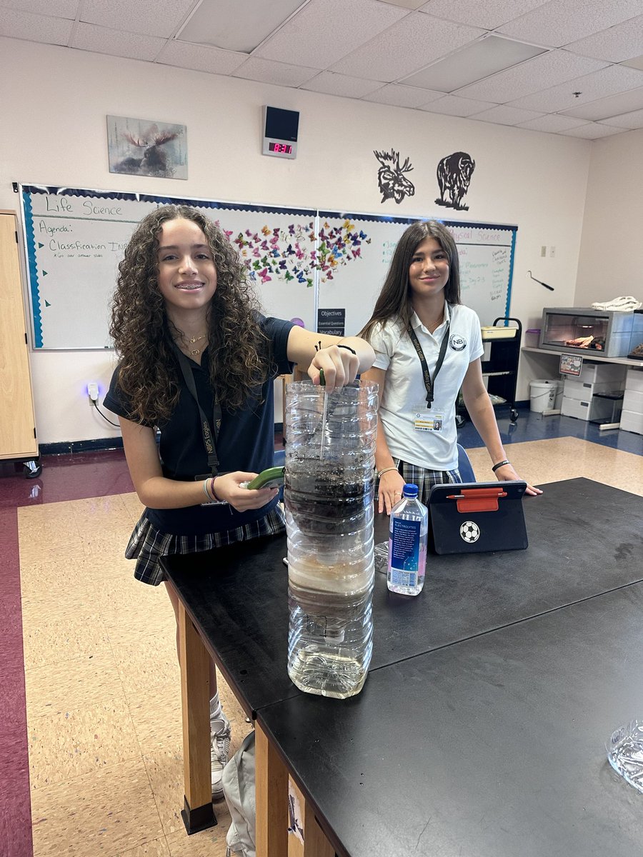 Alisha Hogg 🐬 tweet media