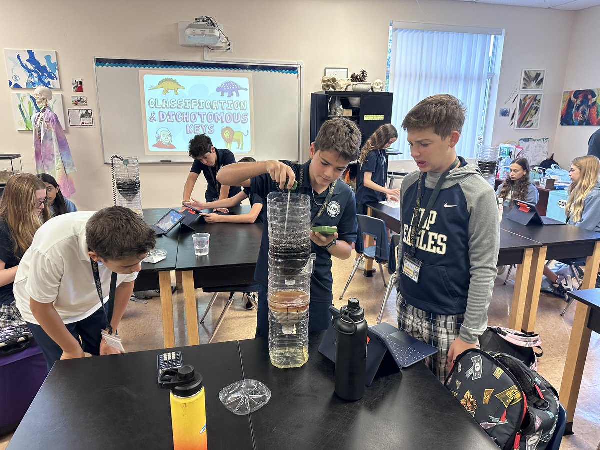 Alisha Hogg 🐬 tweet media