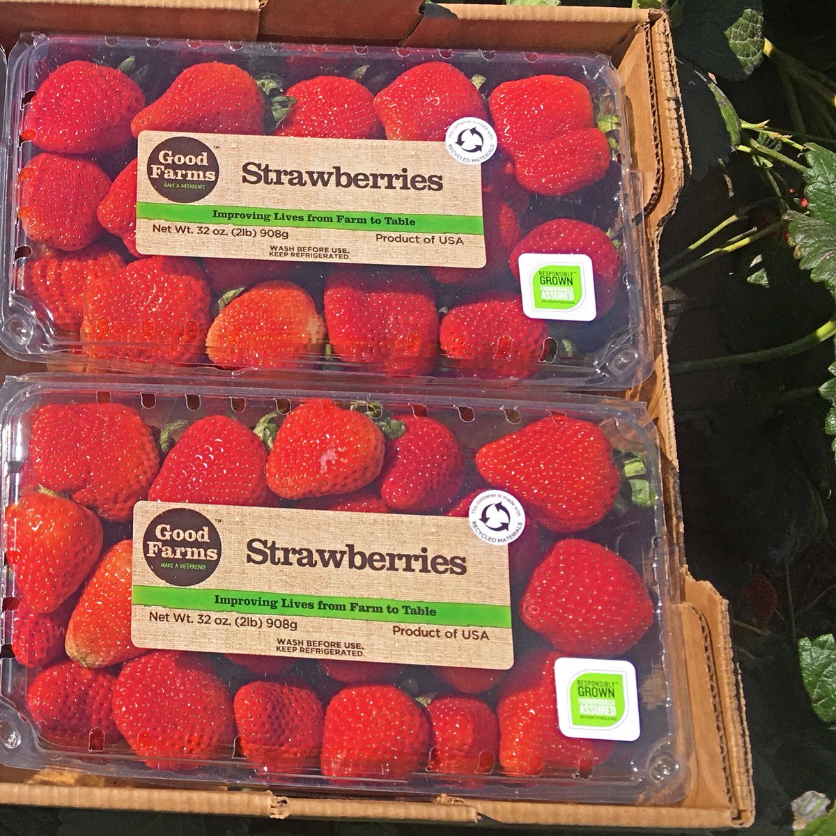 GoodFarms's tweet photo. $10,000,000+ in bonuses! Your purchases of our @EquitableFood certified berries &amp; tomatoes have sent that back to farmworkers. Thanks for continuing to #makeadifference! Find our #EFIcertified produce with the “Responsibly Grown Farmworker Assured” label at @Costco &amp; @WholeFoods. https://t.co/BasIohACut