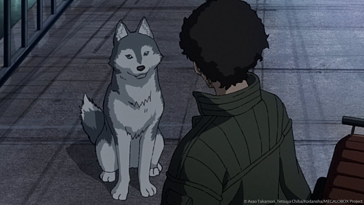 tmsanime_latino's tweet image. Día Mundial de los Animales!
Cual es tu favorito? 
#KamisamaKiss #MEGALOBOX #Pandagopanda #Remi