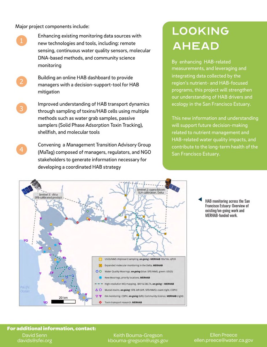 Dan Killam tweet media