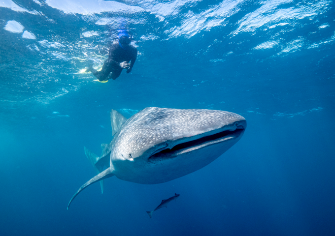 AssignmentAbner's tweet photo. Dive deep into your Marine Science assignments with #AbnerAssignmentHelp! ๐
Our expert guidance ensures success in your projects related to marine biology and oceanography.
Explore : https://t.co/sOlJwRhWNb #MarineScience #AssignmentHelp #Oceanography https://t.co/hqucCXNVwY