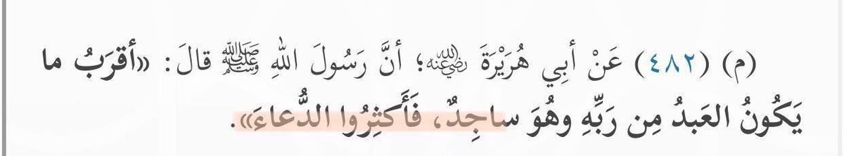 <a href="/DictNo/">نورا</a> الوتر.