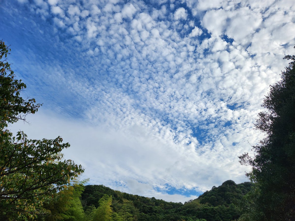 10/4 水曜日　先負
おはようございます☀️😃❗
天使の日です‼️10.4…てんし…

たくさん苦労した人にしか
人生の本当の楽しさはわからない。

わかるぞ～⤴️
ワクワクする😊✨️
