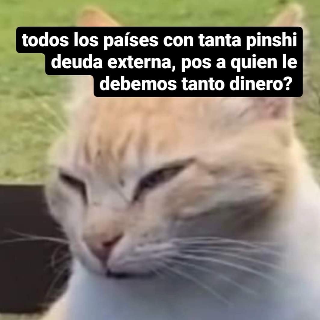 LuisDaSerrano tweet picture