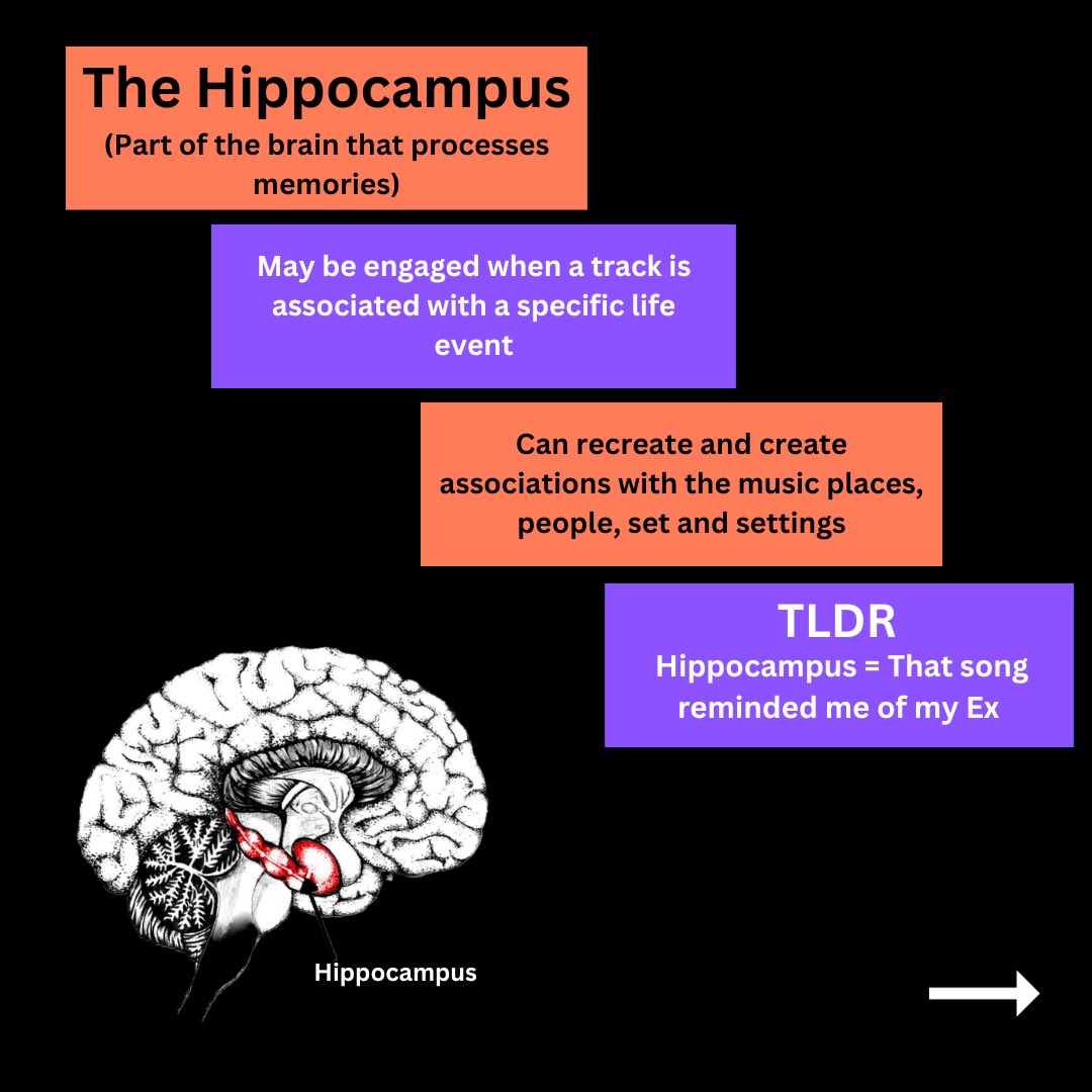 This is how electronic music affects the Brain