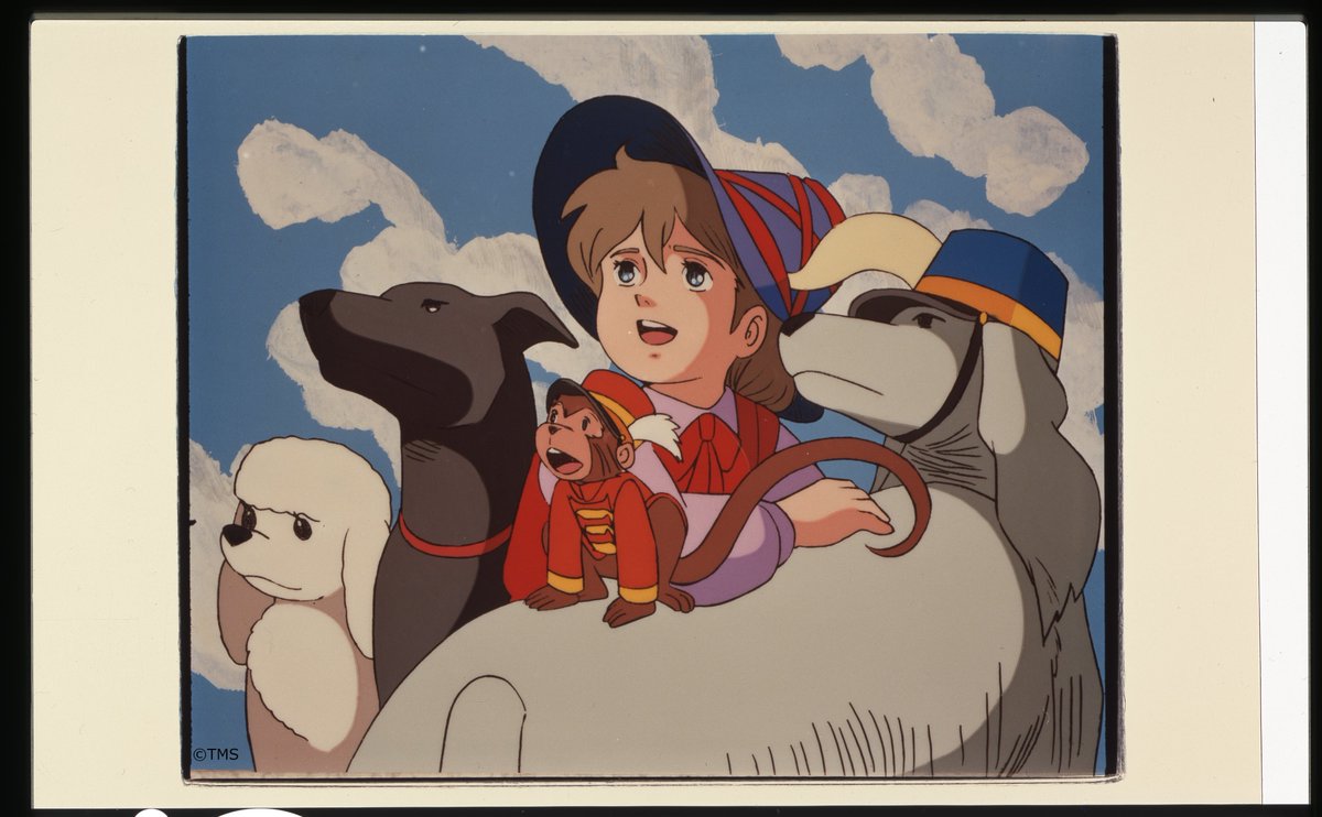 tmsanime_latino's tweet image. Día Mundial de los Animales!
Cual es tu favorito? 
#KamisamaKiss #MEGALOBOX #Pandagopanda #Remi