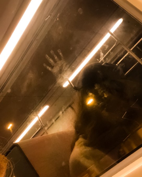 i love riding the tram at midnight https://t.co/SK5cT4023S