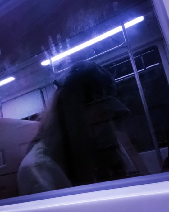 i love riding the tram at midnight https://t.co/SK5cT4023S