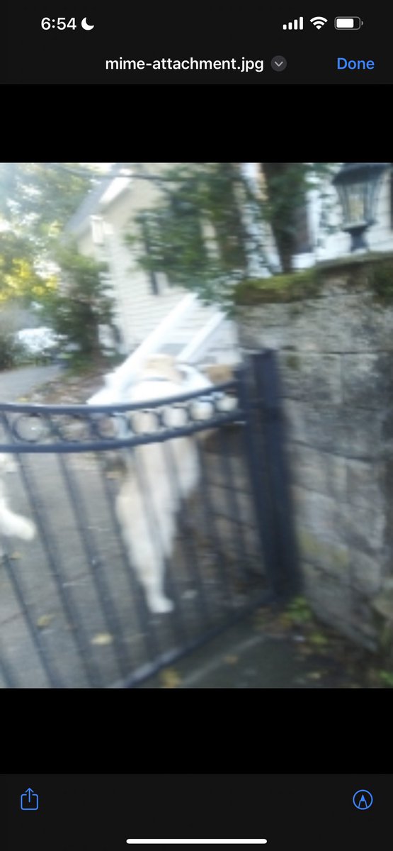 Andy MacIsaac tweet media