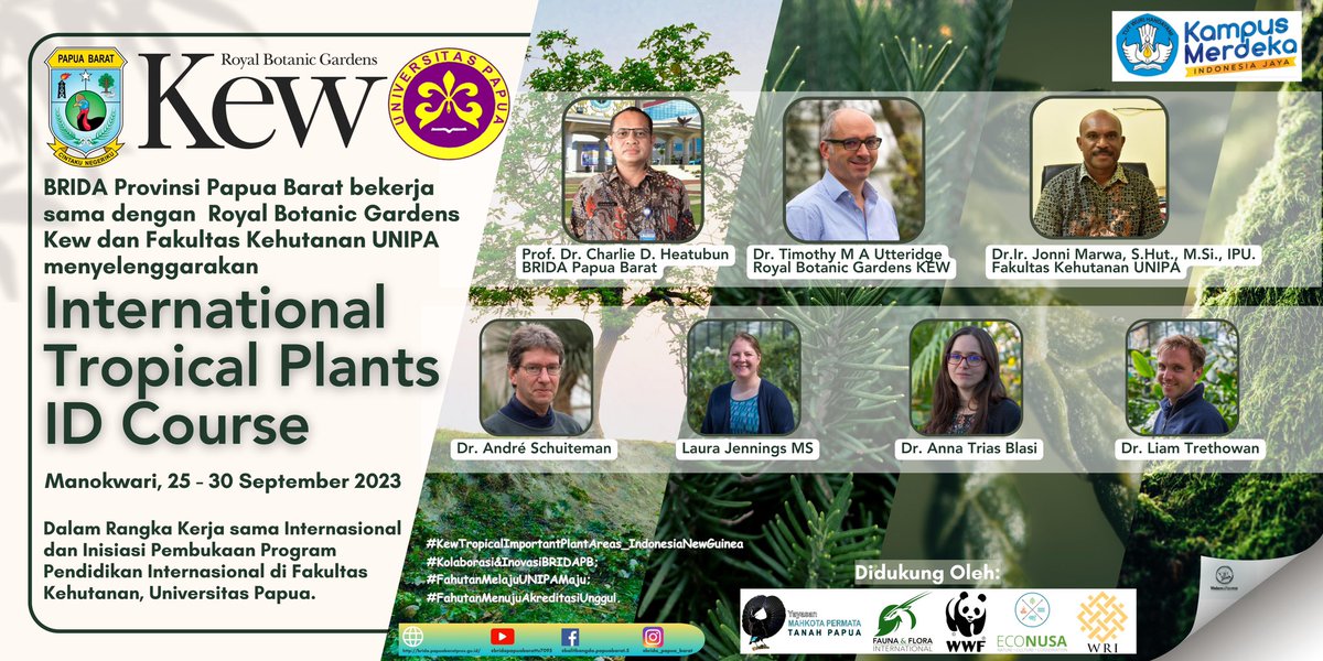 Violaceoflavens VogelCop tweet media