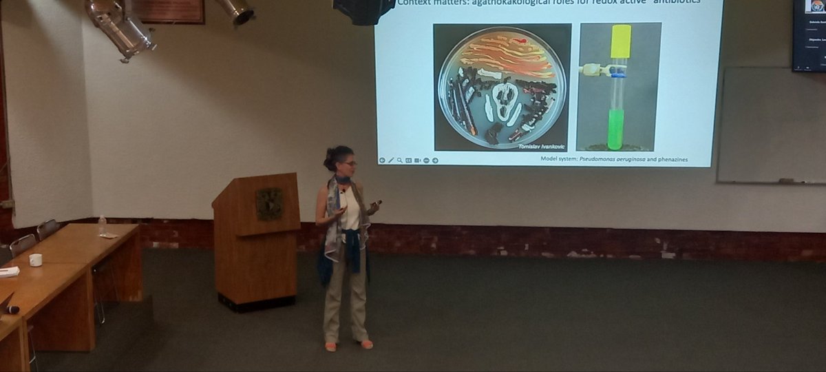 lcgunam's tweet photo. ¡Empezamos! #FrontiersInGenomics Dianne Newman https://t.co/XVYsr2BZ4B @ccg_unam @ibt_unam @unammorelos @Caltech 3oct 5pm https://t.co/mYu2rQNHce