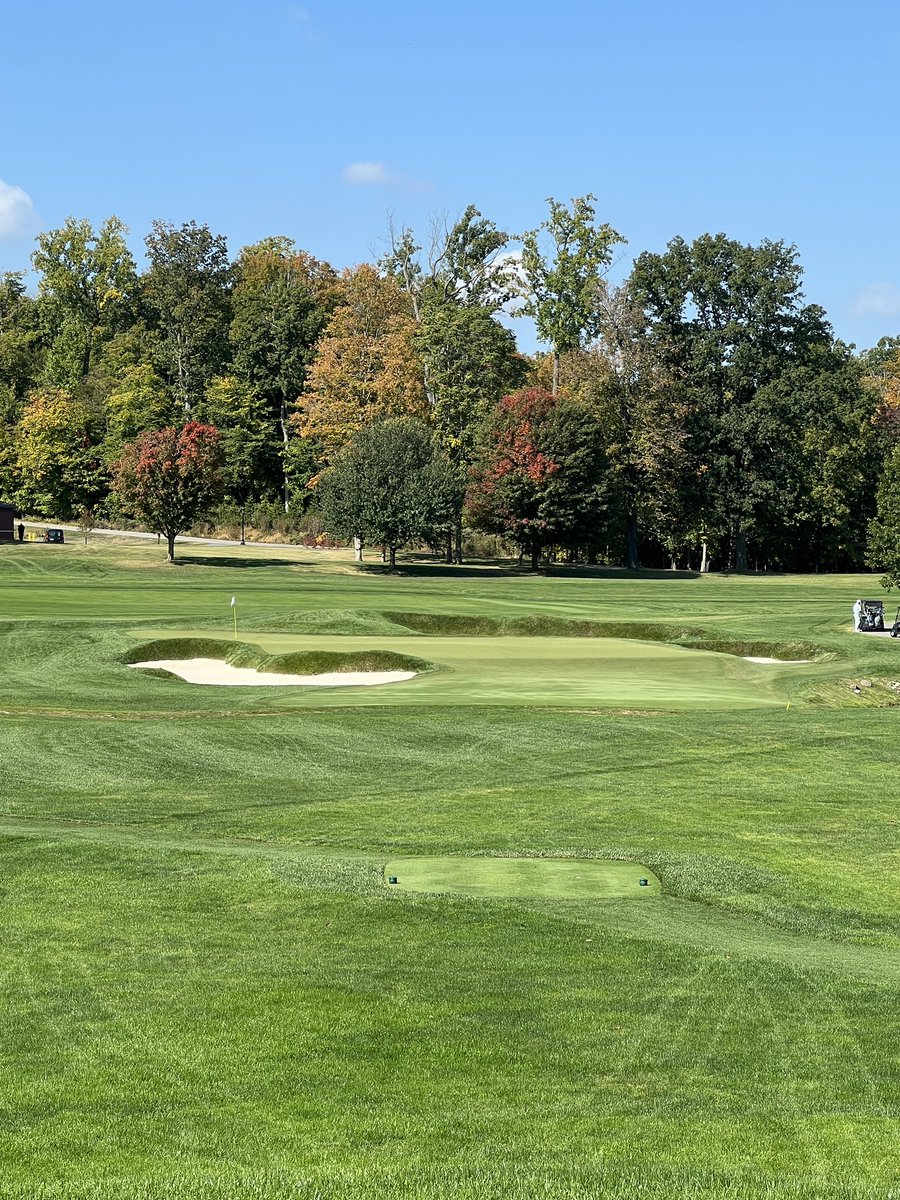 Stephen Britton tweet media