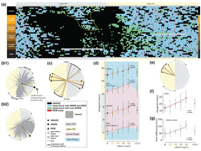 UCLA Neurology tweet media